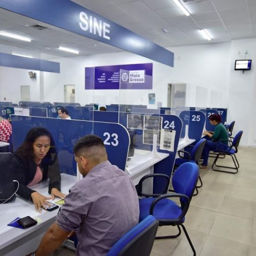 Sine Estadual disponibiliza mais de 2,5 mil vagas de trabalho nesta semana; confira