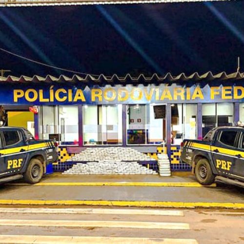 Skunk apreendido | Calendário IPVA | Suspeito de zoofilia | Nota MT instituições