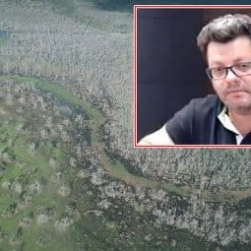 TJ nega prender pecuarista acusado de devastar o Pantanal e rejeita tornozeleira em agrônomo e piloto