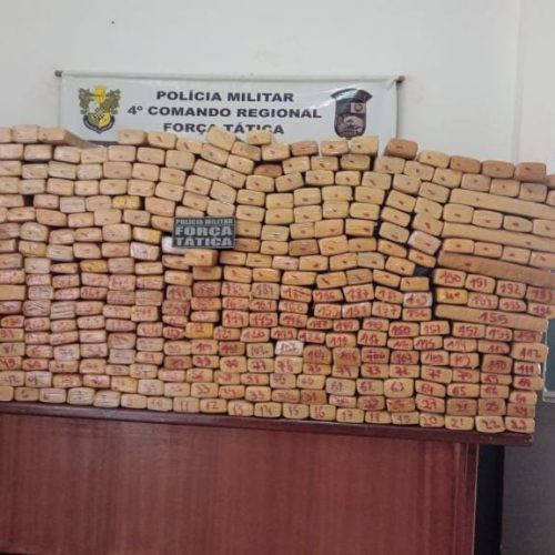 Traficante de 20 anos é preso em flagrante e PM apreende quase meia tonelada de maconha em MT
