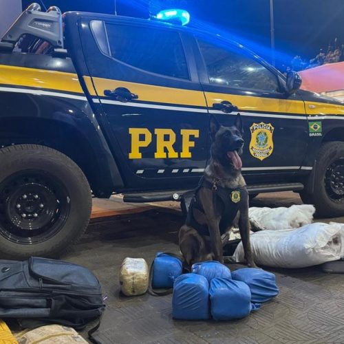 Trio é preso em ônibus na rodovia BR-364 com 18 kg de supermaconha na bagagem