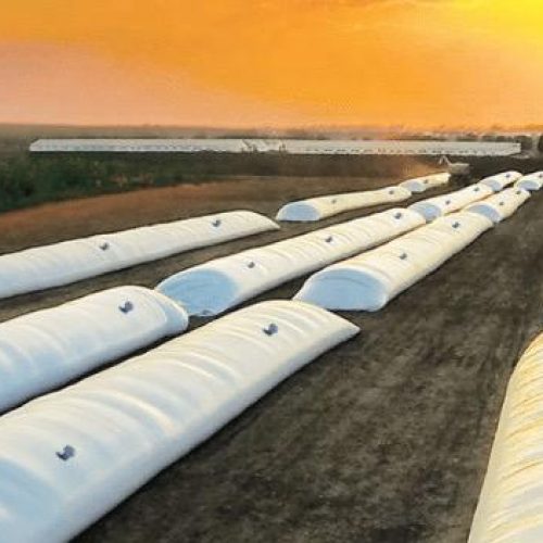 Estudo da UFMT Sinop avalia benefícios do ‘silo bolsa’ como redução de perdas e aumento da qualidade