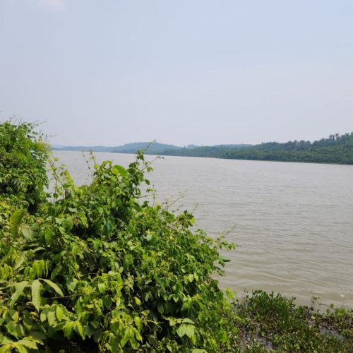 PARTICIPAÇÃO POPULAR: Oficinas de Diagnóstico do Plano de Recursos Hídricos da Bacia do Rio São Lourenço acontecem na próxima semana