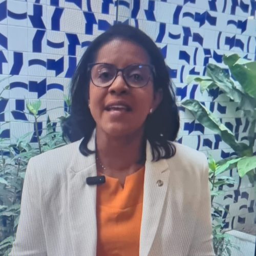 “Vai onerar em R$ 64 milhões os cofres públicos’, diz Gisela sobre votar contra projeto