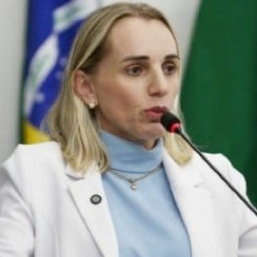 Vereadora defende a Câmara após operação da PC e cita "vereadores dos horrores"
