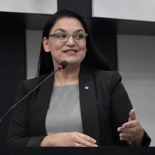 Vereadora denuncia intimidação de ‘líder comunitário’ a assessoras durante visita ao CPA
