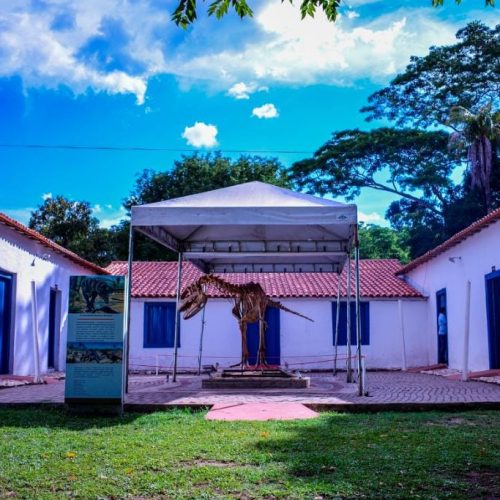 Visitas aos museus de Arte Sacra e de História Natural estão temporariamente suspensas