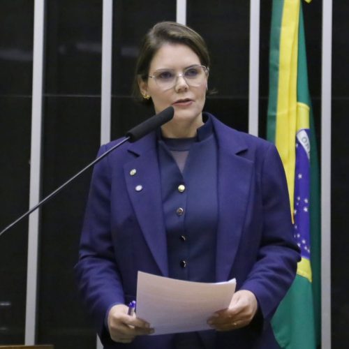 Vitória da soberania nacional e dos produtores brasileiros”, diz deputada sobre decisão do TCU