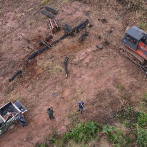 Fiscalizações ambientais da Polícia Militar aplicaram R$ 1,1 bilhão em multas