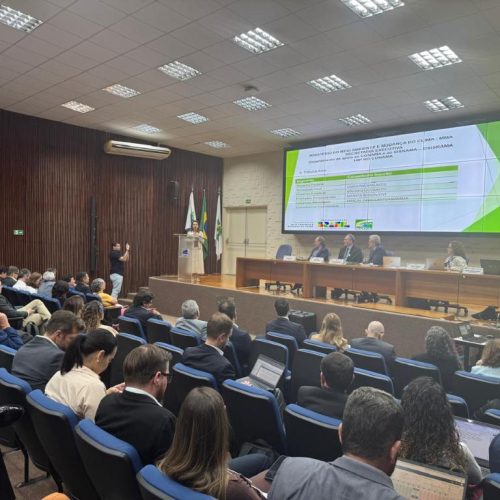 No Conselho Nacional, Governo de MT defende distinção entre desmatamento ilegal e abertura autorizada de áreas