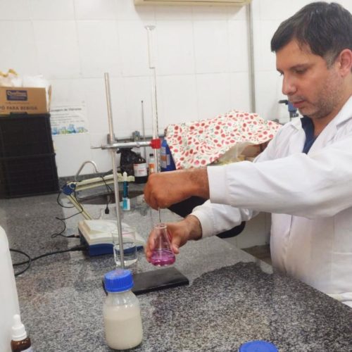 Pesquisa da UFMT estuda uso de amêndoa de castanha de caju-do-cerrado na produção de bebidas vegetais fermentadas e pastas cremosas