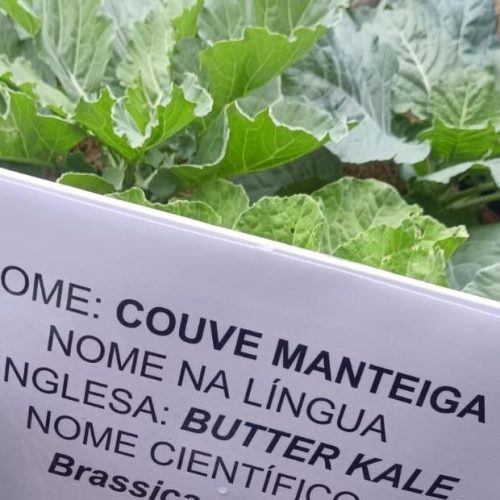 BOA PRÁTICA: Projeto de escola estadual em Cáceres torna aprendizado em inglês mais atrativo e aumenta engajamento dos alunos