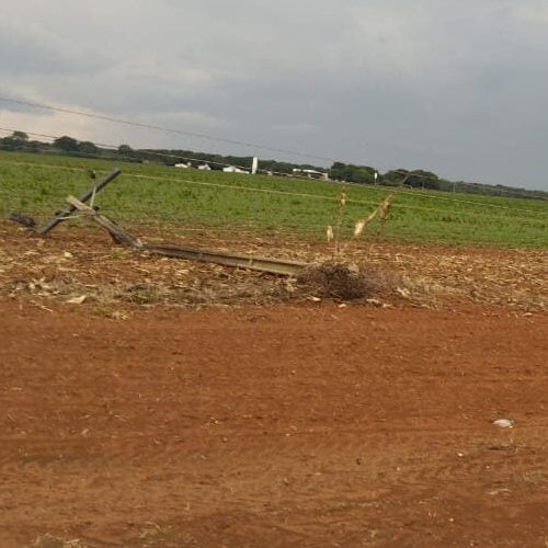 Temporal com ventos fortes derruba postes e interrompe energia na MT-449