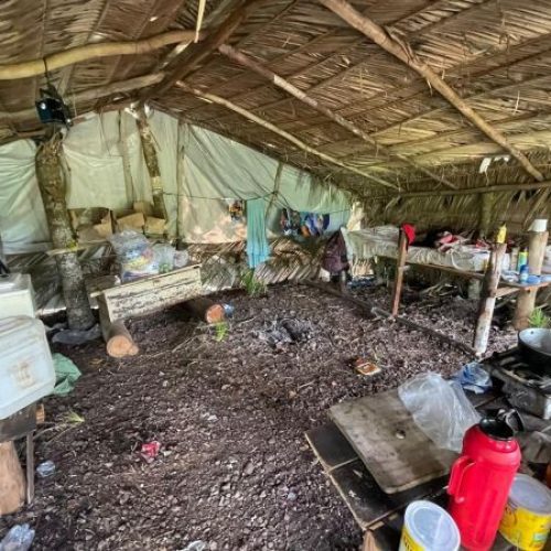 Ministério divulga balanço com Mato Grosso líder em resgates por trabalho análogo à escravidão