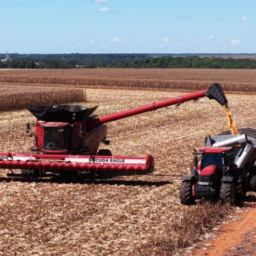 Colheita da soja avança e passa de 65% da área total de Mato Grosso