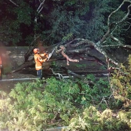 EM PRIMAVERA DO LESTE E ALTO ARAGUAIA: Corpo de Bombeiros realiza isolamento e desobstrução de vias após queda de poste energizado e árvore