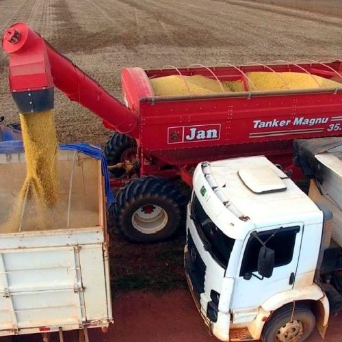 MATO GROSSO: Agropecuária gera mais de 10 mil empregos em MT; Sorriso 1º e Nova Mutum 2º