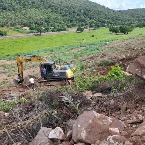 Polícia Civil flagra desmate ilegal em área de conservação em Barão de Melgaço