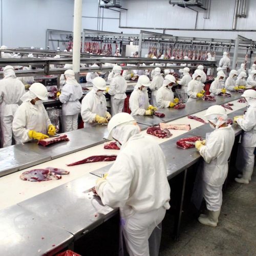 Empresas de Nova Mutum contratam 278 funcionários; maioria para frigorífico