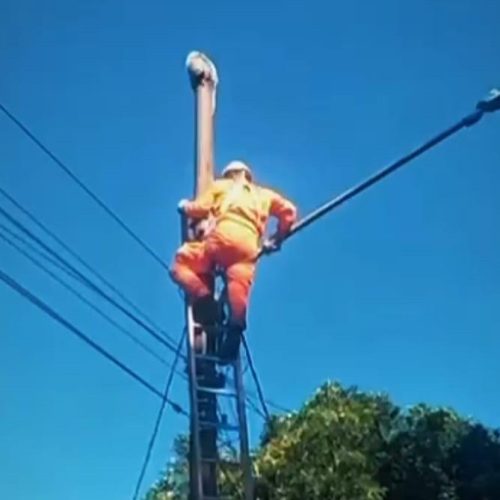 EM CAMPO VERDE-MT; Bombeiros militares resgatam ouriço em poste de iluminação pública