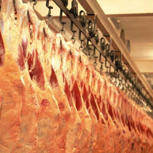 Congelamento do Fethab equilibra pressão do agro e responsabilidade fiscal em MT, avalia sindicato