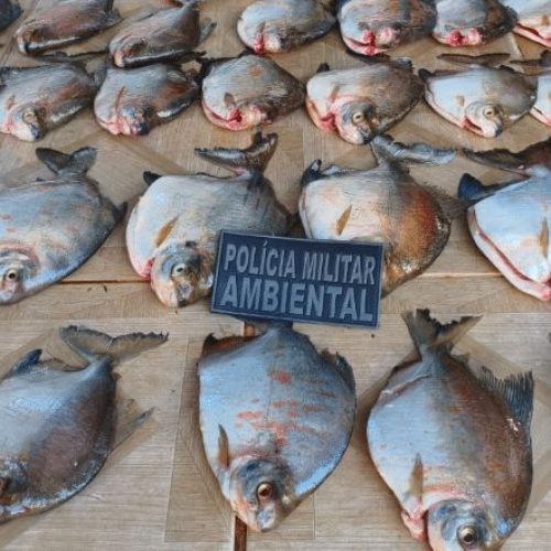 Homem é detido por armazenar mais de 30 quilos de pescado ilegal no Nortão