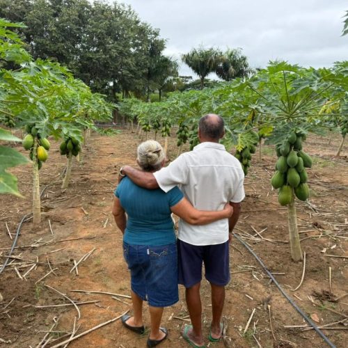 Agricultura familiar transforma aposentadoria em qualidade de vida e renda em Nova Monte Verde