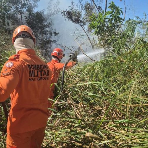 EM POCONÉ-MT: Corpo de Bombeiros combate incêndio em terreno urbano e atende vítima de acidente de trânsito