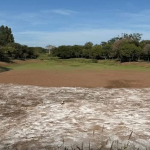 Prefeitura monitora lagos após mortandade de peixes em Nova Mutum
