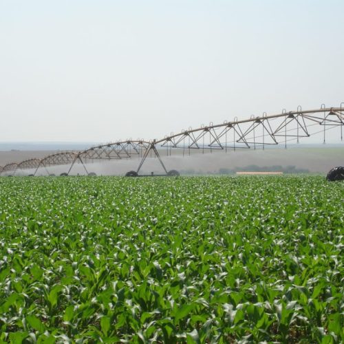 Mudança em tarifa de energia pode diminuir custos da irrigação no campo, diz Federação