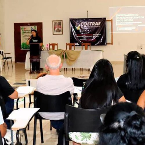 Secretaria confirma que plano de combate ao trabalho escravo já atingiu 70% das metas em MT