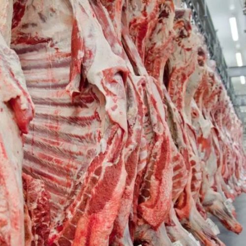 Mato Grosso tem novo recorde no abate de bovinos e China lidera compras