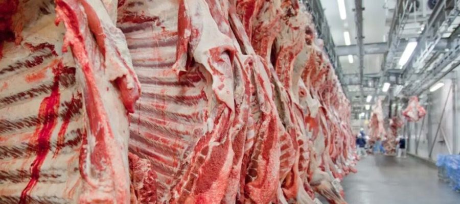 Mato Grosso tem novo recorde no abate de bovinos e China lidera compras