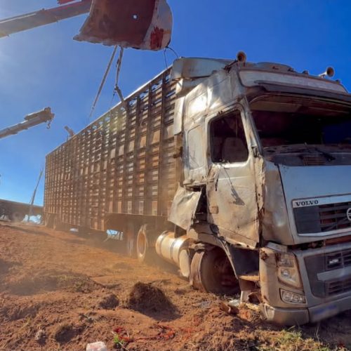 Caminhão boiadeiro tomba na MT-320 em Colíder
