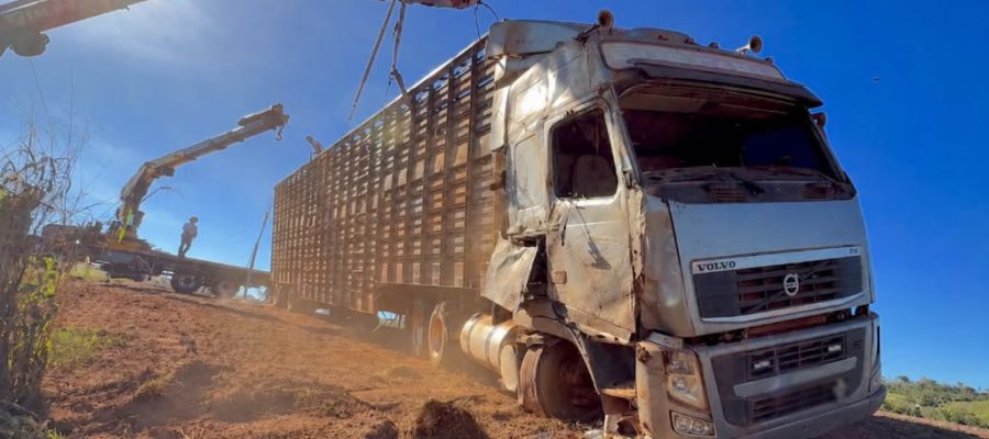 Caminhão boiadeiro tomba na MT-320 em Colíder