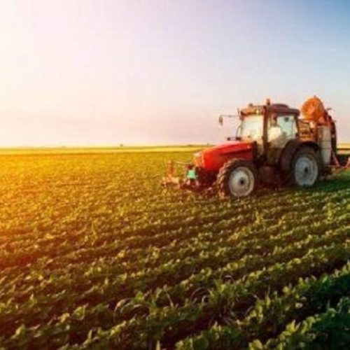 FINANCIAMENTO RURAL: Produtora de MT é investigada por suposta aplicação irregular de crédito rural