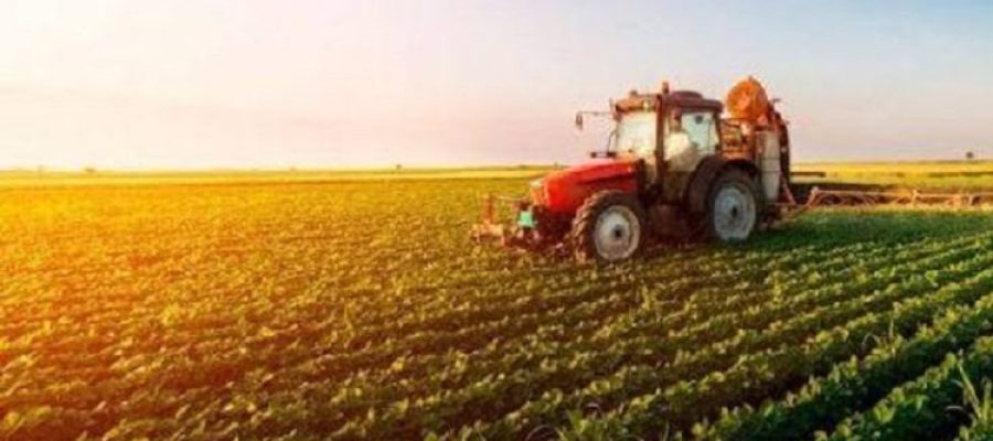 FINANCIAMENTO RURAL: Produtora de MT é investigada por suposta aplicação irregular de crédito rural