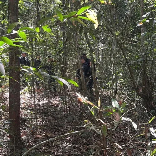 Homem é encontrado morto em área de mata no bairro Tessele Júnior, em Lucas do Rio Verde
