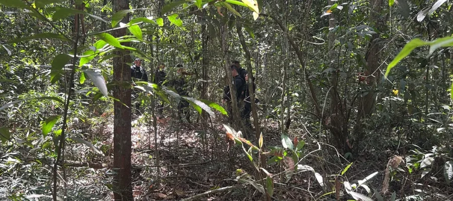 Homem é encontrado morto em área de mata no bairro Tessele Júnior, em Lucas do Rio Verde
