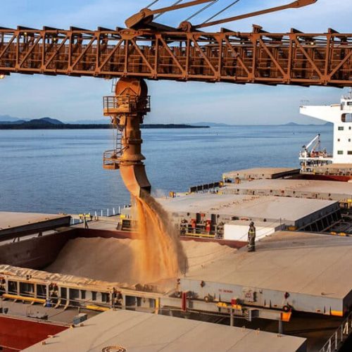 Sorriso é a 3ª maior exportadora do Estado; maioria dos negócios com a China