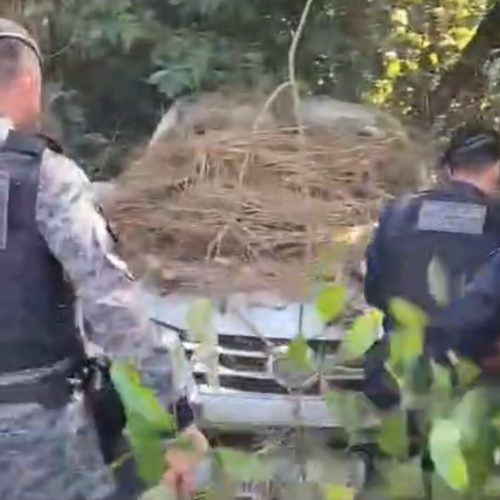 PM recupera veículo roubado em Sinop; dois detidos