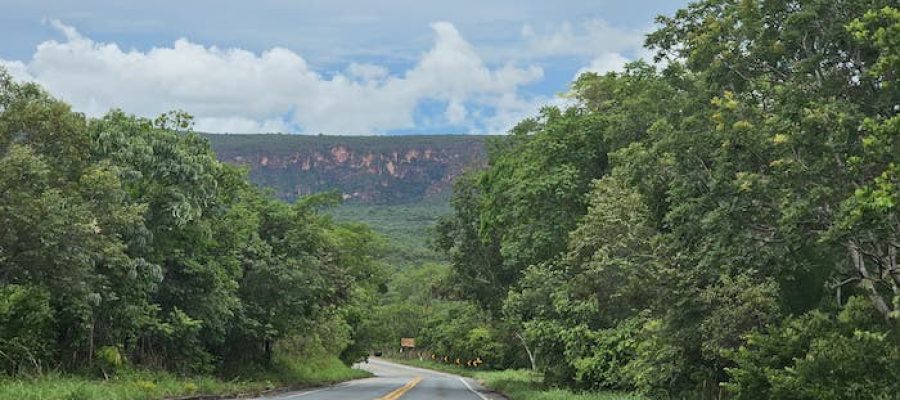 ICMBio barra duplicação da MT-251 em trecho que passa por parque em Chapada dos Guimarães