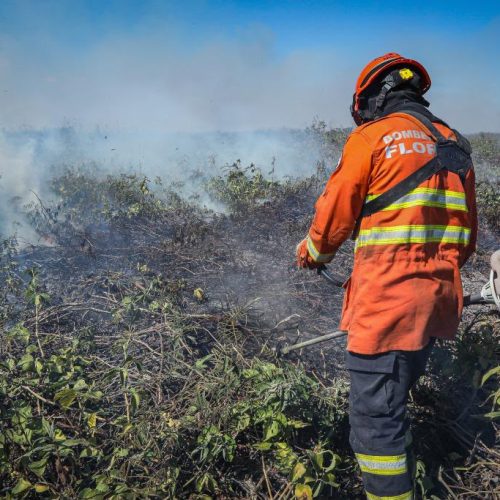 Bombeiros extinguem três incêndios florestais e seguem no combate a outros 15 em MT