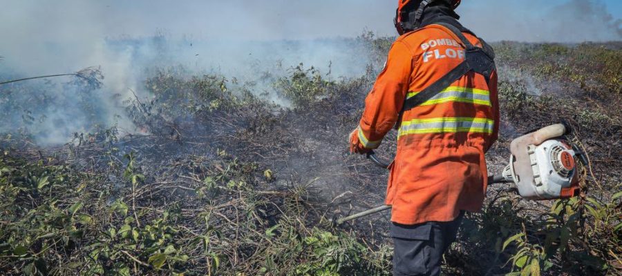 Bombeiros extinguem três incêndios florestais e seguem no combate a outros 15 em MT