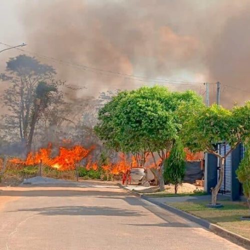 Incêndio florestal consome mais de 300 m² de mata em Alta Floresta