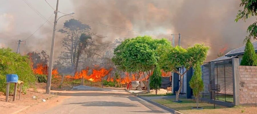 Incêndio florestal consome mais de 300 m² de mata em Alta Floresta