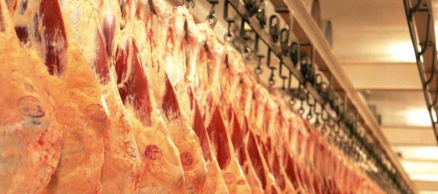 Colíder implanta serviço municipal para fiscalizar qualidade de produtos de origem animal
