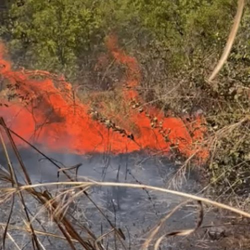 Bombeiros combatem incêndios florestais em Peixoto e mais cidades