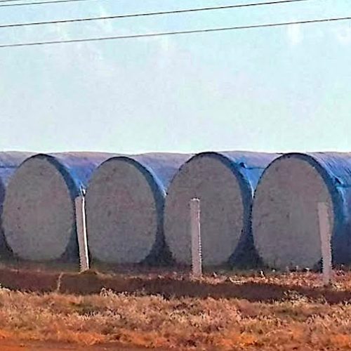 Colheita de algodão termina nos próximos dias em Mato Grosso