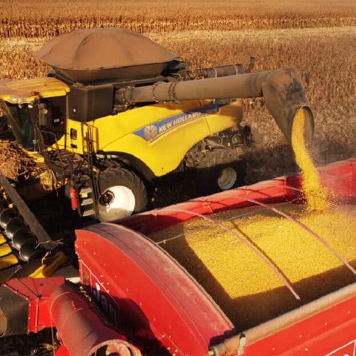 Sorriso cai para 3º no ranking nacional de produção agrícola após criação de Boa Esperança, aponta IBGE